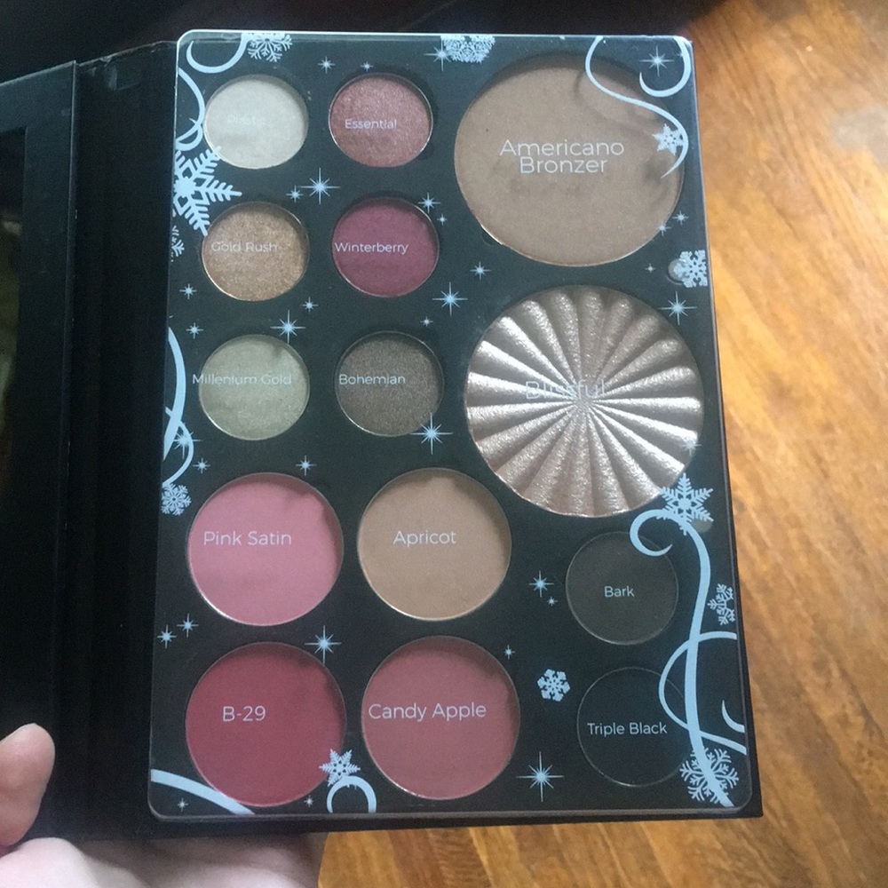OFRA pro palette NEW!